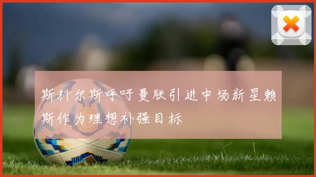 斯科尔斯呼吁曼联引进中场新星赖斯作为理想补强目标