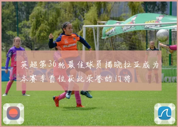 英超第36轮最佳球员揭晓拉亚成为本赛季首位获此荣誉的门将