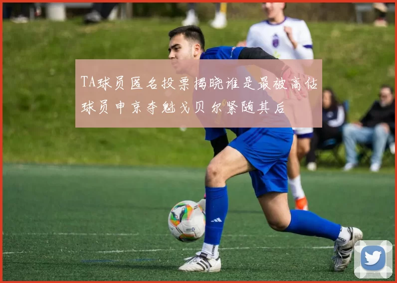 TA球员匿名投票揭晓谁是最被高估球员申京夺魁戈贝尔紧随其后